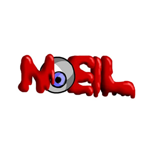 Noeil